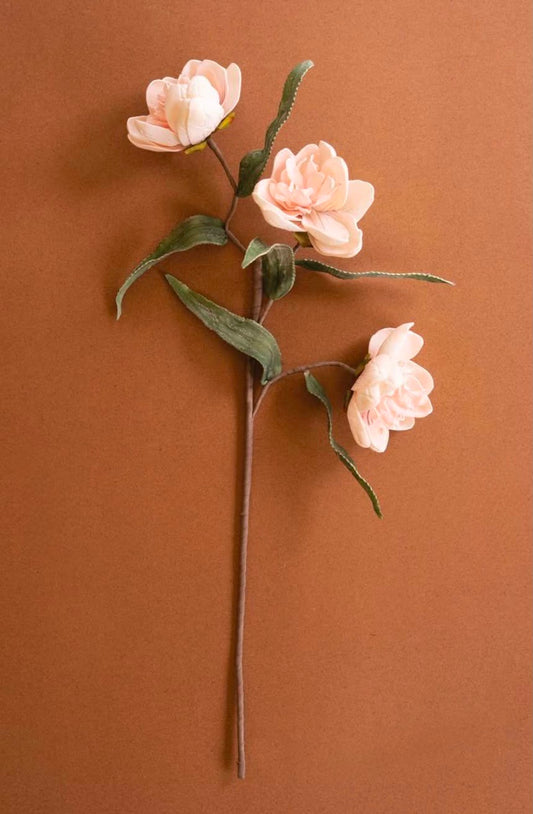 Heirloom Peony Stem
