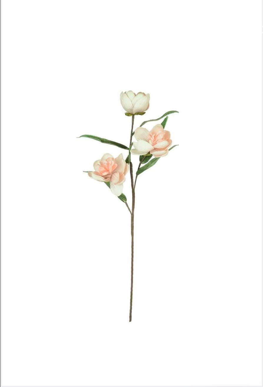 Heirloom Peony Stem