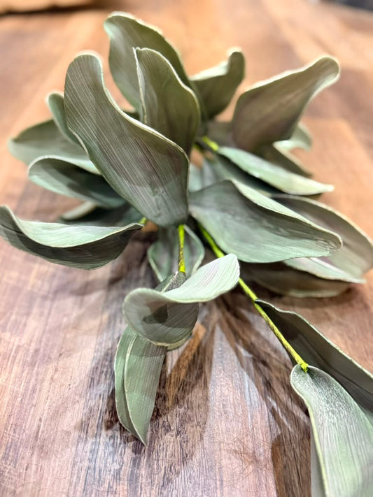 Luxury Silver Sage Eucalyptus Stem – Premium Real Touch Faux Greenery Branch