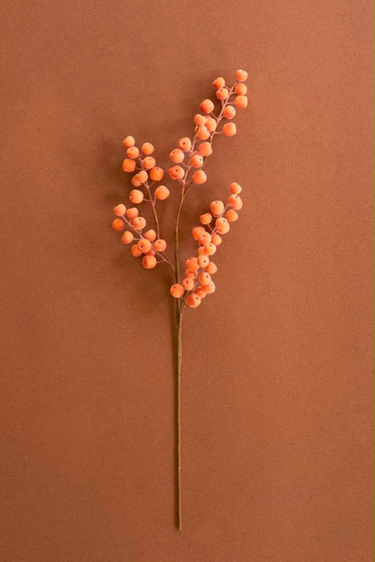 Citrus Frost Berry Stem