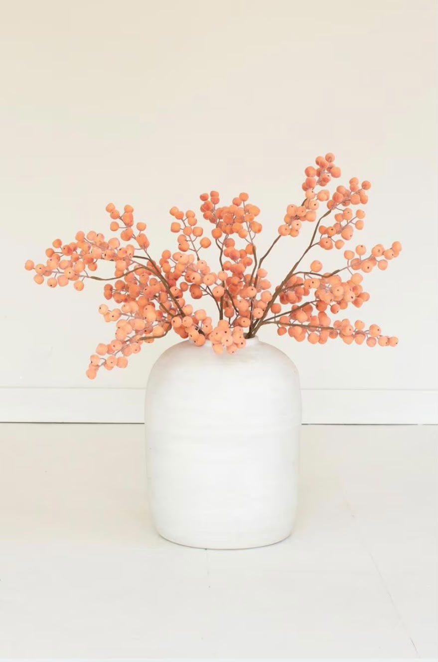 Citrus Frost Berry Stem