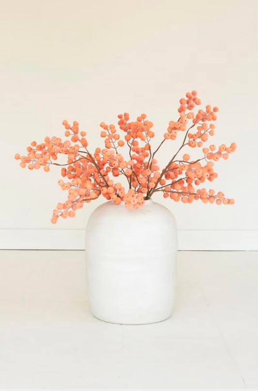 Citrus Frost Berry Stem