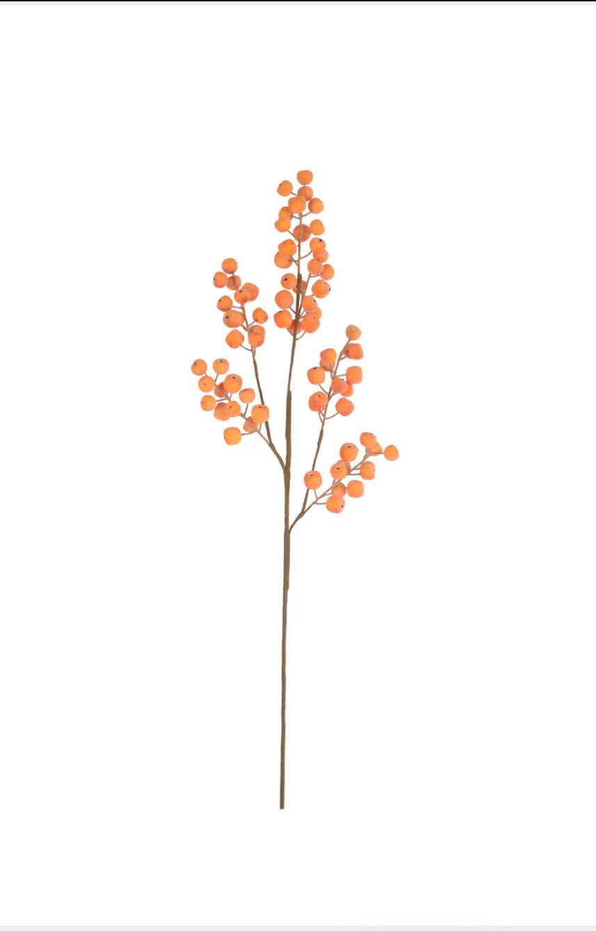 Citrus Frost Berry Stem