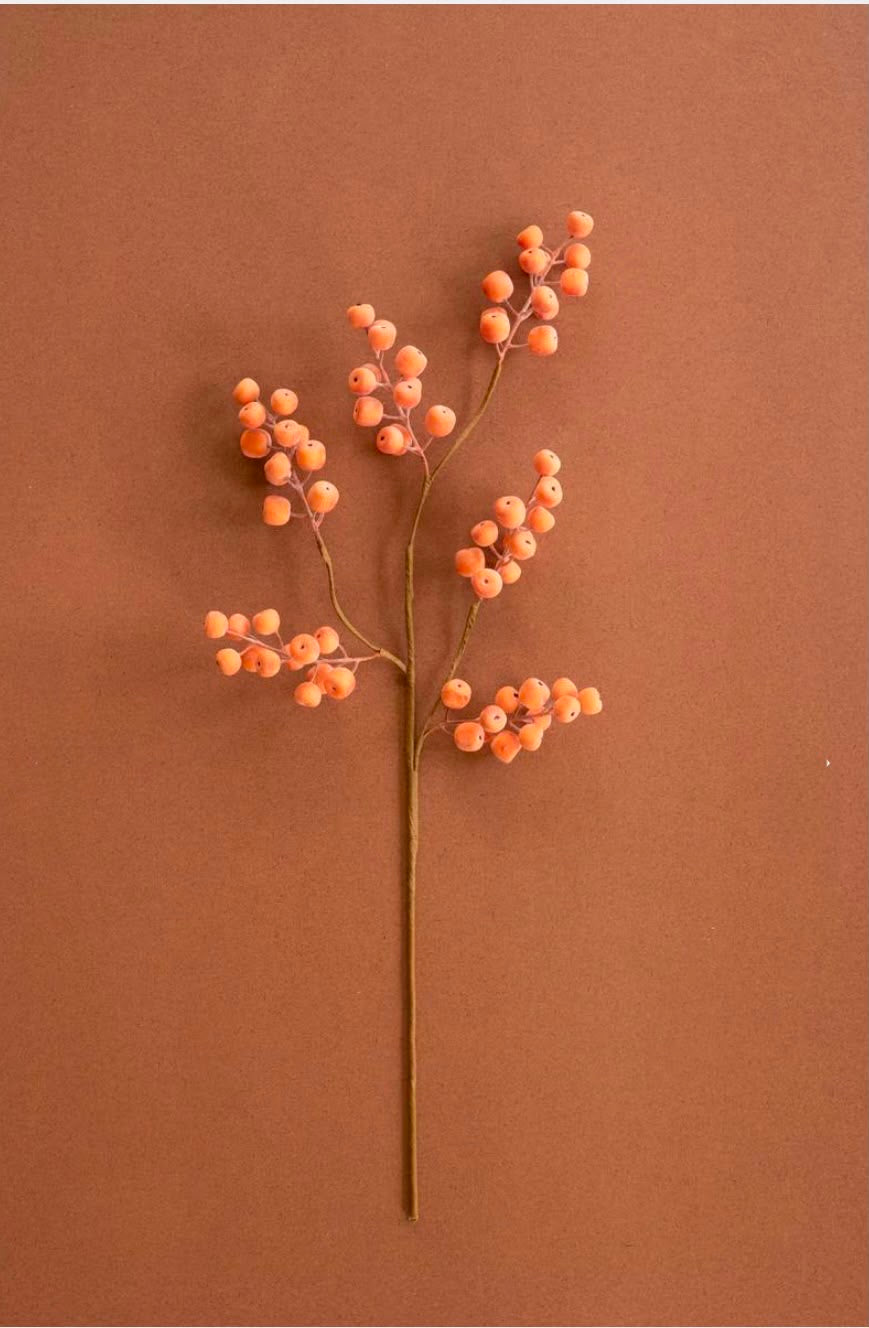 Citrus Frost Berry Stem