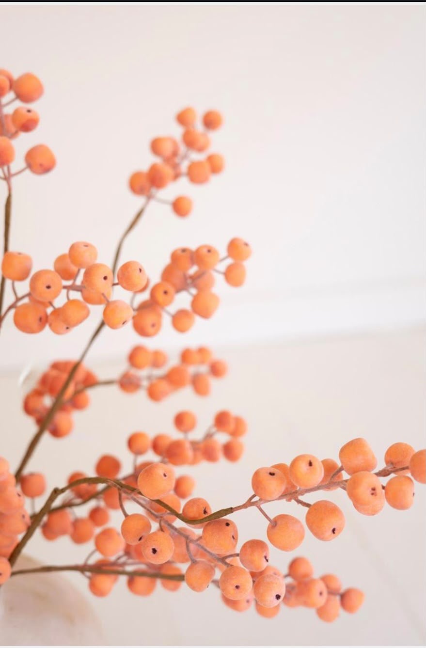 Citrus Frost Berry Stem