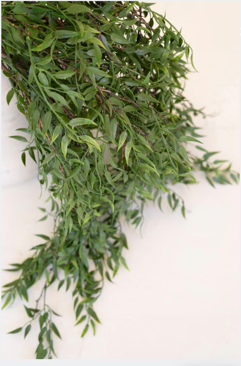 Cottage Garden Greenery Spray