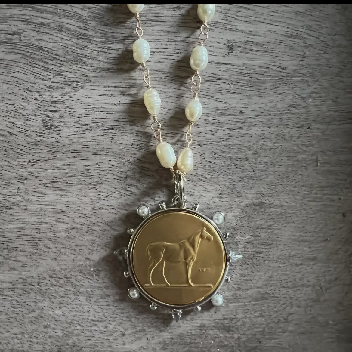 The Dressage Coin Necklace