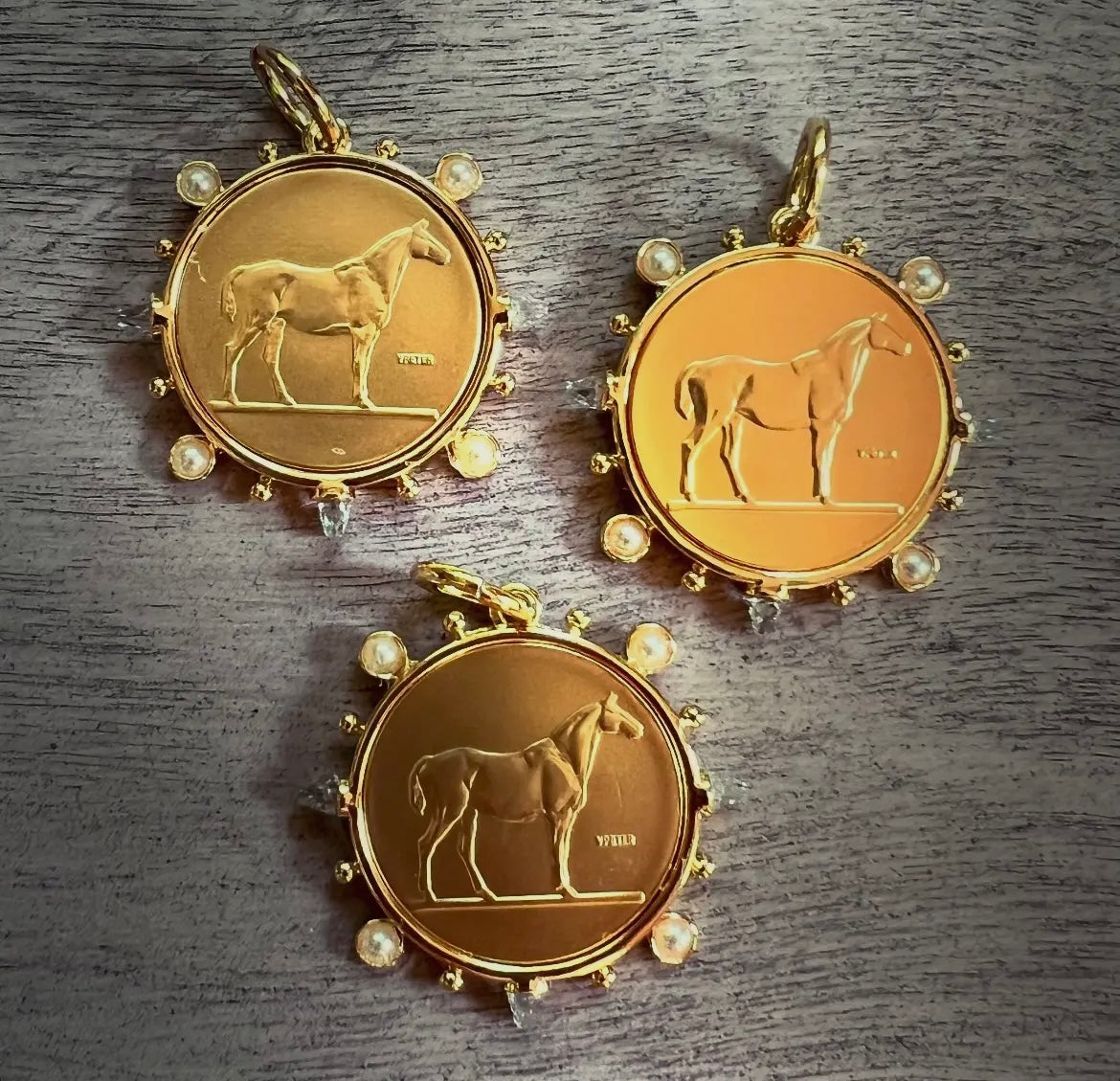 The Dressage Coin Necklace