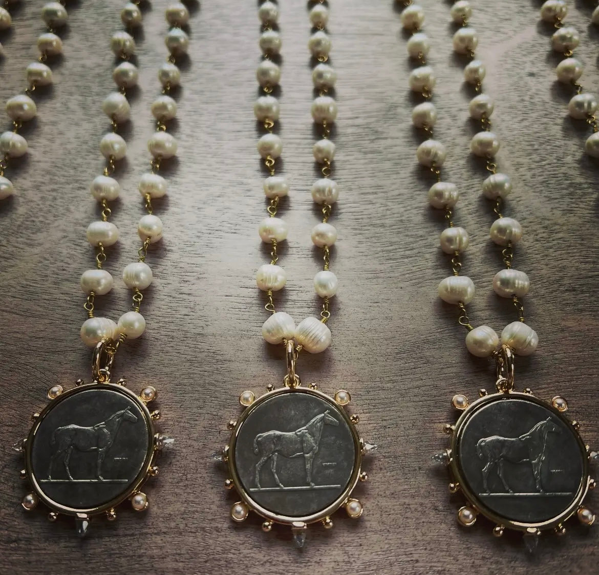 The Dressage Coin Necklace