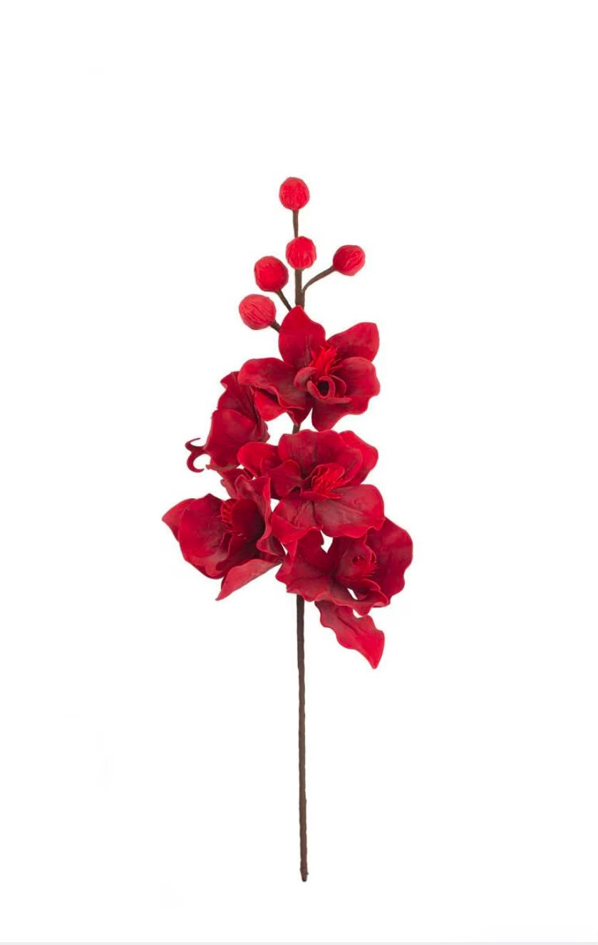 Velvet Crimson Orchid Berry Stem