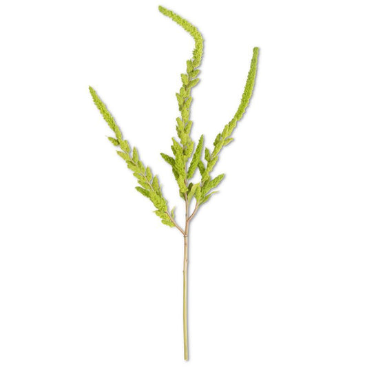 37 Inch Green Amaranthus Stem