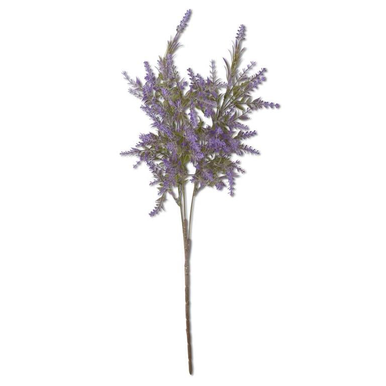 Purple Lavender Stem