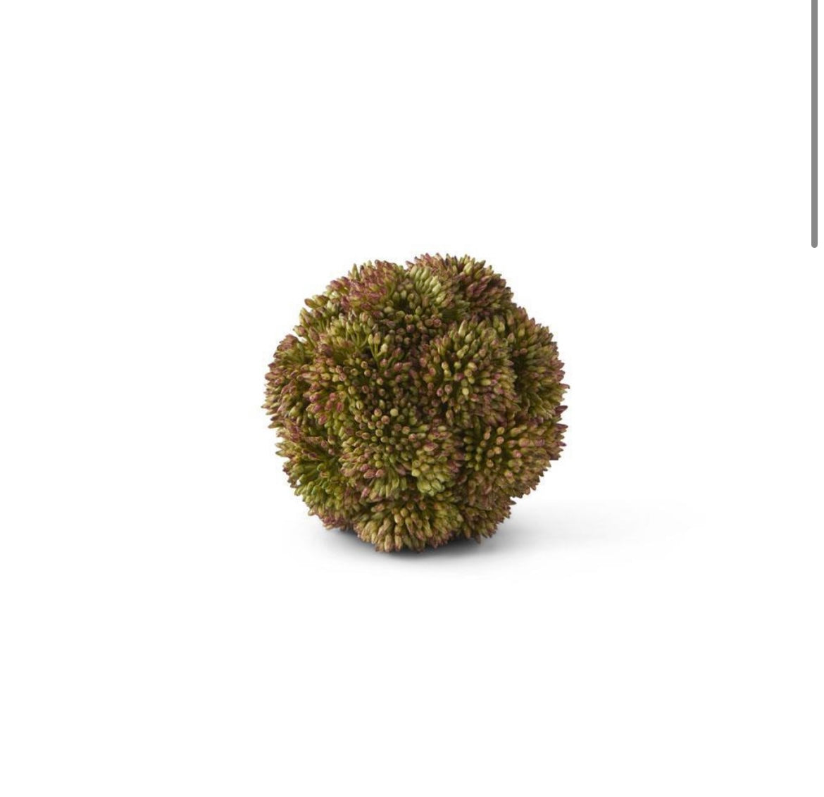 Dark Green Sedum Ball