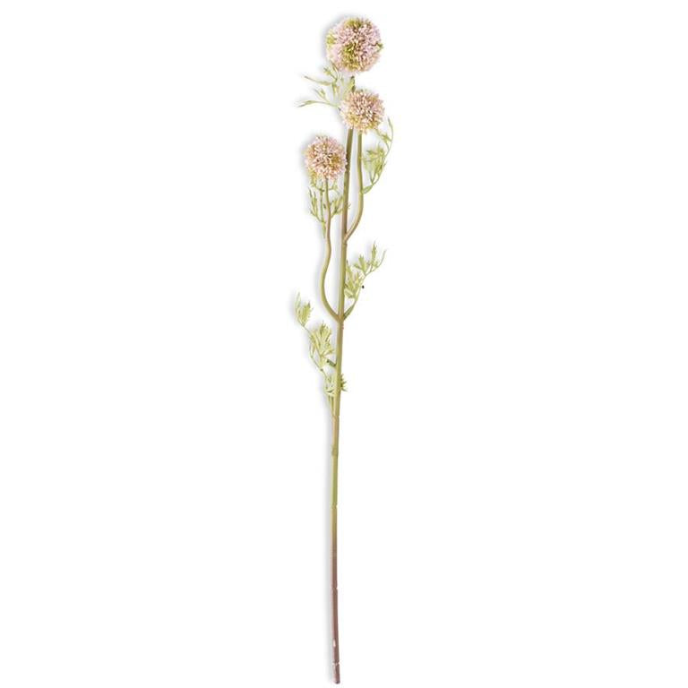 Pink Mini Allium Stem